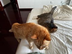 -回龙观体育文化公园