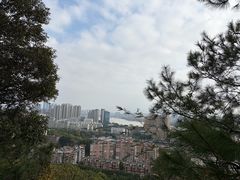 -福道