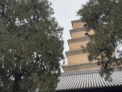 -大慈恩寺(大雁塔)