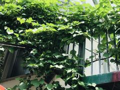-美味之家·湖景农家乐(太湖东山店)