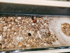 -宜宾海鲜酒家·三十年老字号