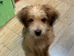 -小丫头餐厅·江浙菜·烧烤(灵隐店)