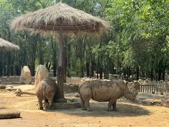 -北京野生动物园