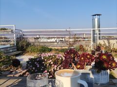 -唐咖精品咖啡(大理古城手冲店)