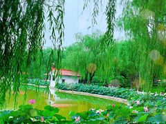 -丰台花园