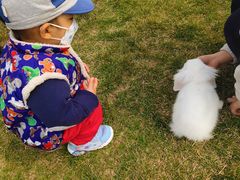 -君乐宝优致牧场