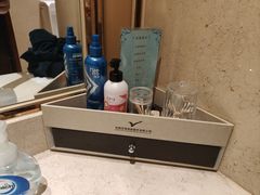 -郑州新郑国际机场T2航站楼-贵宾厅B区