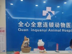 -全心全意连锁动物医院·微创中心·内科急重症·心脏专科(丰管路店)