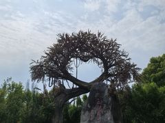 -昌州古城