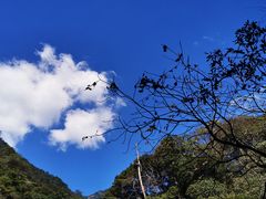 -祁门牯牛降观音堂风景区