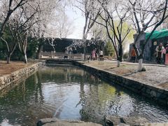 -春风习习