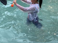 -十渡高山漂流
