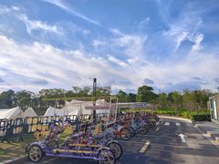 -春花秋色城市公园