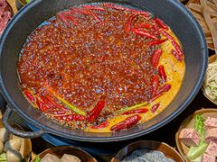 -阳阳老火锅(小南门店)