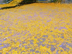 -金堂县云顶石城风景区