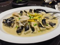 -沈灶河豚宴·河豚融合餐厅(汉中路店)