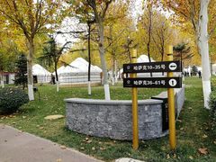 -九十九顶毡房(阜石路店)