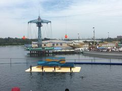 -秦皇岛乐岛海洋王国