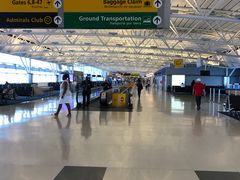 -约翰·菲茨杰拉德·肯尼迪国际机场