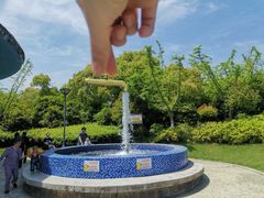 -自然谷恐龙园
