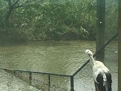 -盐城丹顶鹤湿地生态旅游区