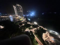 -广东惠东海龟国家级自然保护区