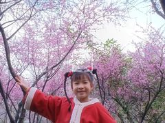 -重庆彩云湖湿地公园