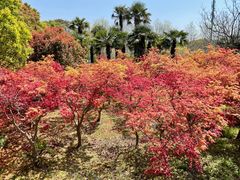 -嘉北郊野公园
