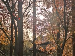 -习家池