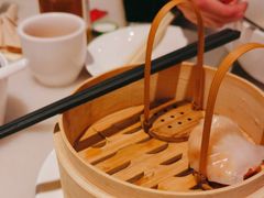 -金鼎轩(方庄天坛店)