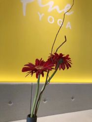 -FineYoga梵音瑜伽·普拉提
