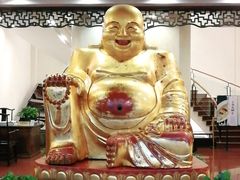 -张生记(双菱店)