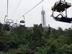 -富斯特索道