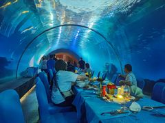 -涛·海底餐厅·美人鱼·自助餐·海底隧道(三亚海棠湾洲际度假酒店)