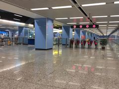 -大龙山(地铁站)