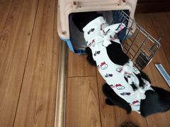 -乖乖乐动物医院(小汤山分院)