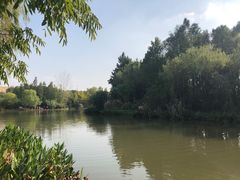 -新江湾城公园