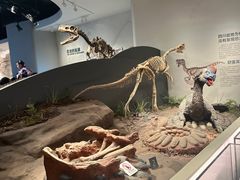 -自贡恐龙博物馆