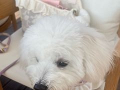 -东钱湖旅游度假区