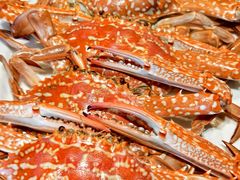 -粤盛海鲜平价店(洛溪食街店)