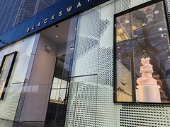 -BLACKSWAN黑天鹅(环球店)