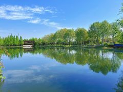 -石家庄市植物园