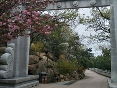 -石岛赤山风景区