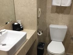 -南京国际博览中心酒店