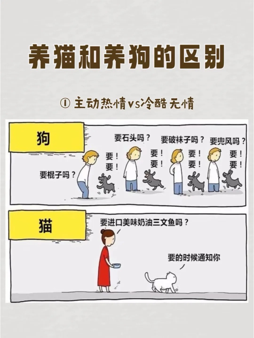 养猫vs养狗:宠物界的热情与冷酷