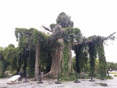 -石家庄市植物园