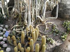 -南山植物园