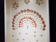 -青岛贝壳博物馆