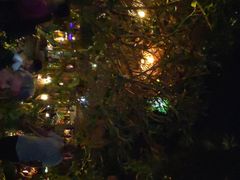 -乌托邦酒吧和餐厅