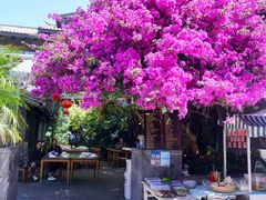 -海韵人家.海景花园经典云南菜(双廊店)